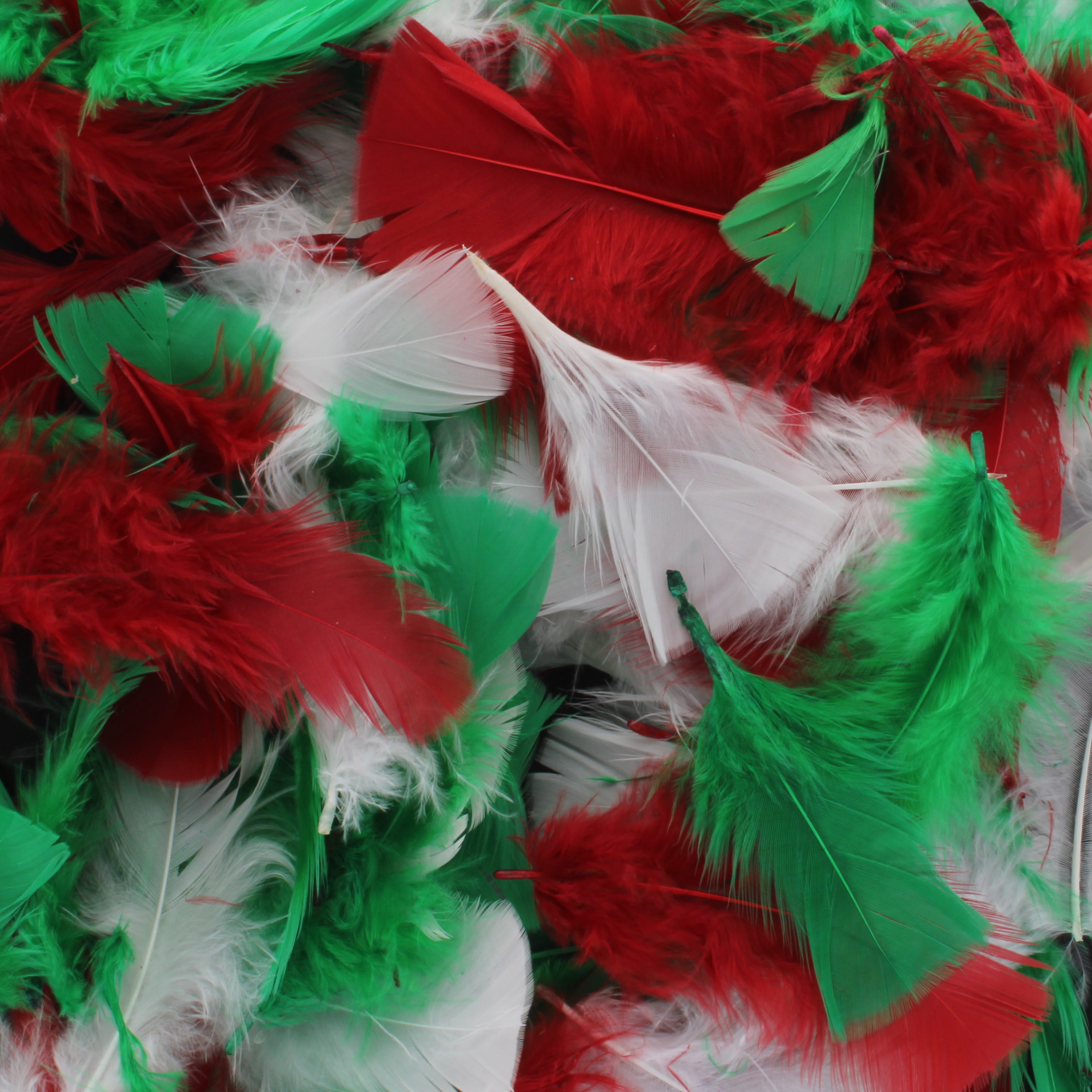 Christmas Feathers Assorted - 14g