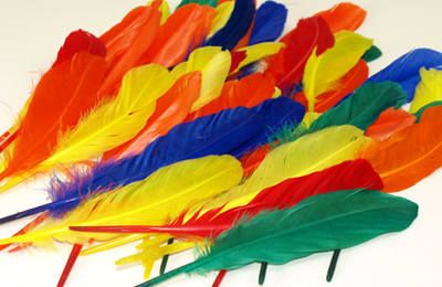 Duck Quill Feathers Assorted - 20g - STC93DQF
